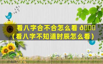 看八字合不合怎么看 🍀 （看八字不知道时辰怎么看）